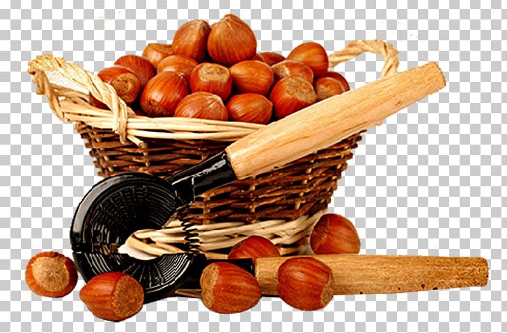 Chinese Chestnut Walnut PNG, Clipart, Chestnut, Chestnuts, Chinese Chestnut, Construction Tools, Download Free PNG Download
