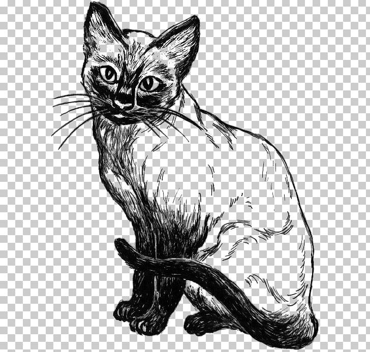 Siamese Cat Kitten Drawing Line Art PNG, Clipart, Animals, Art, Art Museum, Black, Carnivoran Free PNG Download