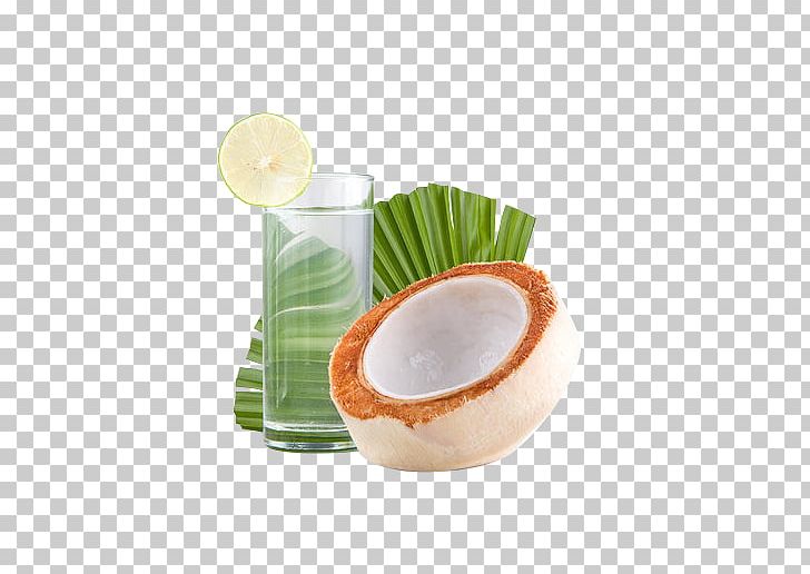Thailand Coconut Milk Nata De Coco Thai Cuisine PNG, Clipart, Auglis, Background Green, Coconut, Coconut Tree, Cup Free PNG Download