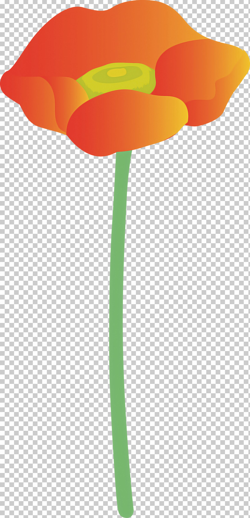 Orange PNG, Clipart, Balloon, Cut Flowers, Flower, Lily Family, Orange Free PNG Download