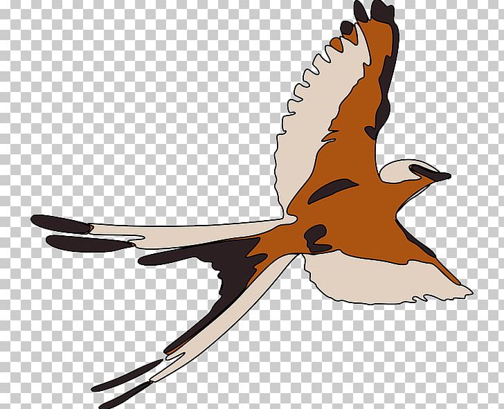 Bird Flight PNG, Clipart, Animals, Beak, Bird, Bird Flight, Drawing Free PNG Download