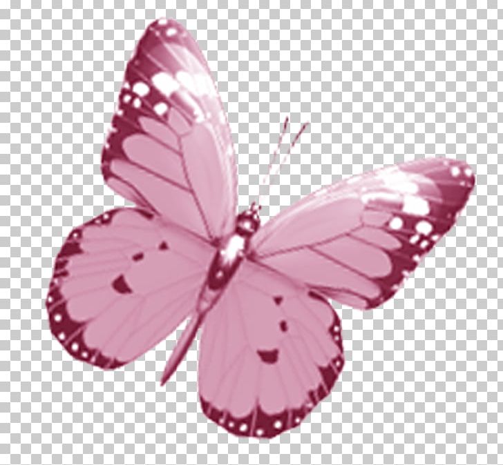 Butterfly Drawing Pink PNG, Clipart, Arthropod, Brush Footed Butterfly, Butterflies And Moths, Butterfly, Clip Art Free PNG Download