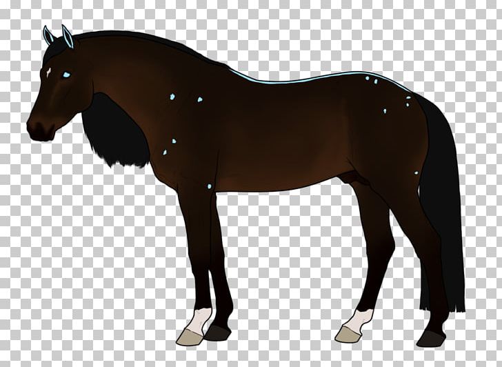 Horse Tack Stallion Pony Bridle PNG, Clipart, Animal Figure, Animals, Art, Bit, Bridle Free PNG Download
