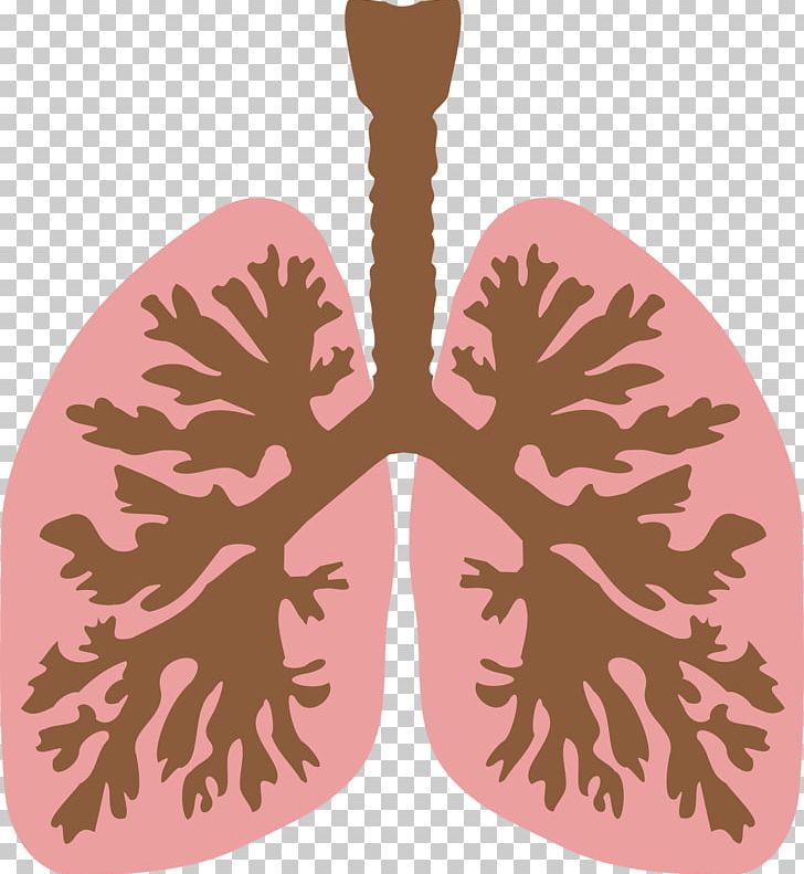 Lung Computer Icons PNG, Clipart, Bronchus, Clip Art, Computer Icons, Download, Leaf Free PNG Download