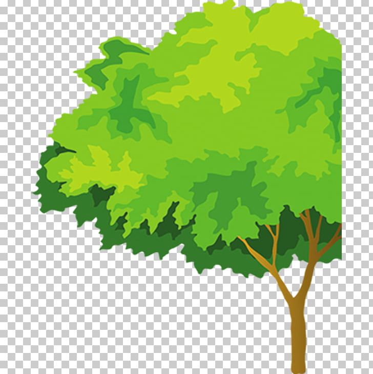 Cartoon Green PNG, Clipart, Branch, Cartoon, Cartoon Tree, Color, Download Free PNG Download