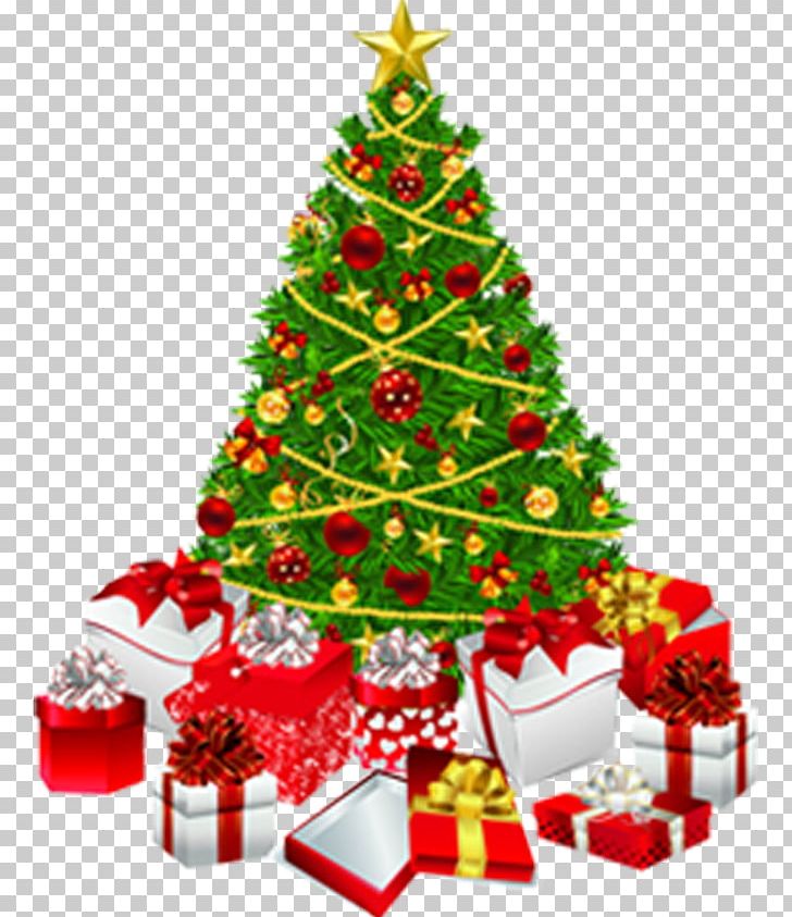 Christmas Tree Christmas Gift PNG, Clipart, Christmas, Christmas, Christmas Decoration, Christmas Frame, Christmas Gift Free PNG Download