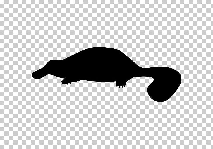 Platypus Computer Icons Mammal Monotreme PNG, Clipart, Animal, Art, Beak, Black And White, Carnivoran Free PNG Download
