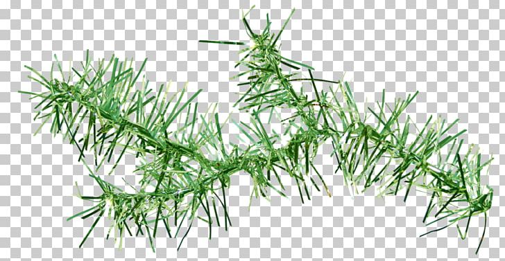 Vegetation Green Portable Network Graphics Plants PNG, Clipart, Branch, Chart, Commodity, Data, Data Compression Free PNG Download