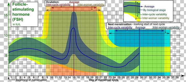 Follicle-stimulating Hormone Luteinizing Hormone Gonadotropin Ovarian Follicle PNG, Clipart, Angle, Area, Corticotropinreleasing Hormone, Diagram, Estradiol Free PNG Download