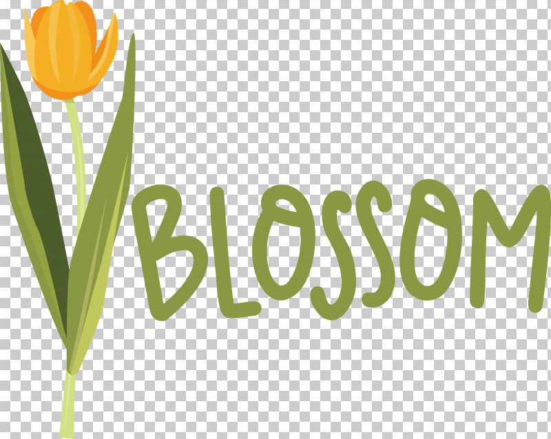 Flower Plant Stem Logo Font Tulip PNG, Clipart, Biology, Flower, Logo, Meter, Plant Free PNG Download