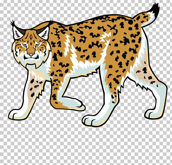 Eurasian Lynx Bobcat Wildcat Felidae PNG, Clipart, Animals, Big Cats, Carnivoran, Cat, Cat Like Mammal Free PNG Download