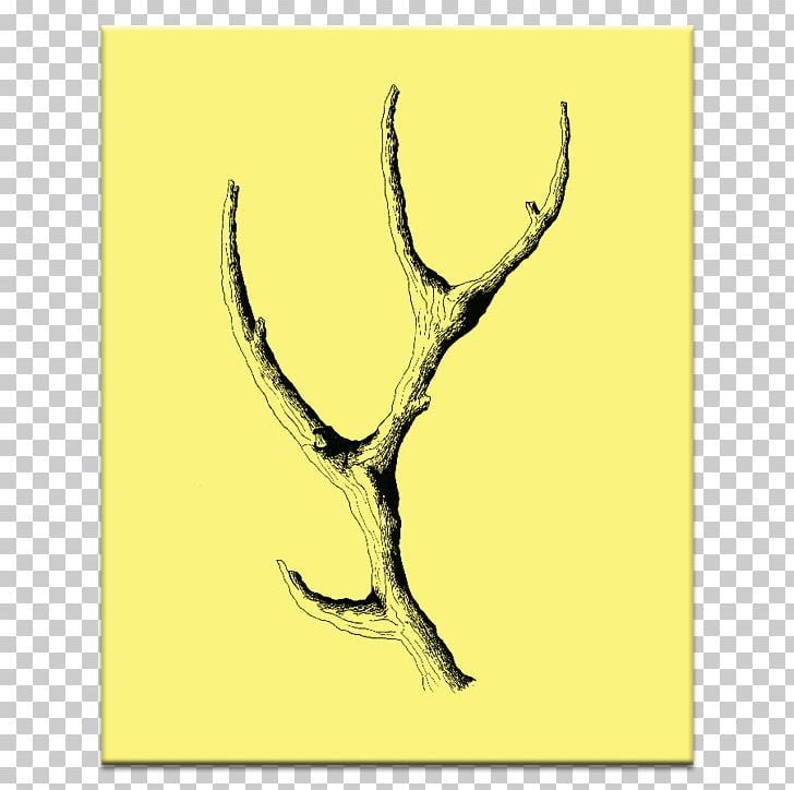 Graphic Arts Antler Canvas PNG, Clipart, Antler, Art, Art By, Artist, Branch Free PNG Download