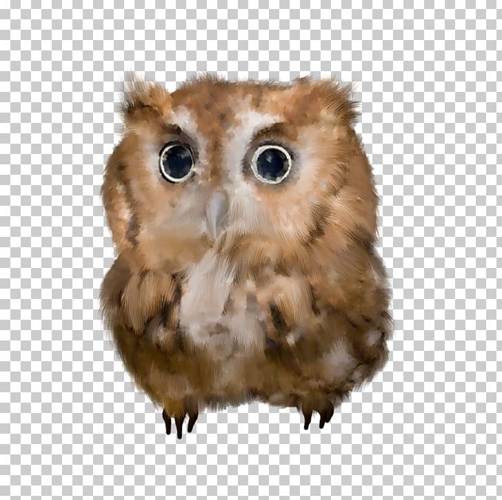 Owl Bird PNG, Clipart, Albom, Animal, Animals, Beak, Bird Of Prey Free PNG Download