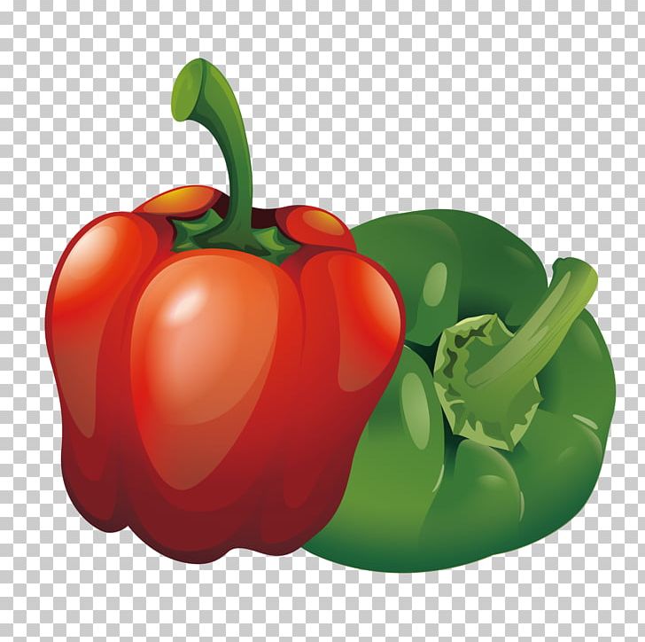 Tabasco Pepper Habanero Cayenne Pepper Bell Pepper Euclidean PNG, Clipart, Chili Pepper, Chili Peppers, Food, Fruit, Happy Birthday Vector Images Free PNG Download