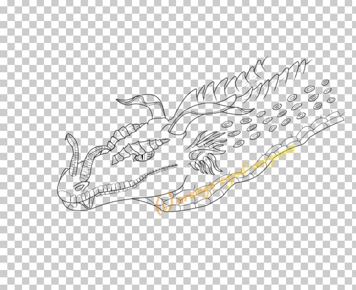 Vertebrate Drawing PNG, Clipart, Art, Crocodilian Armor, Diagram, Drawing, Jaw Free PNG Download