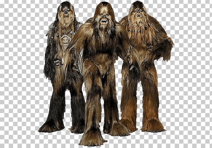 Chewbacca Star Wars PNG, Clipart, Movies, Star Wars Free PNG Download