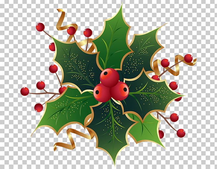 Christmas Decoration Christmas Tree PNG, Clipart, Aquifoliaceae, Aquifoliales, Bombka, Branch, Christmas Free PNG Download