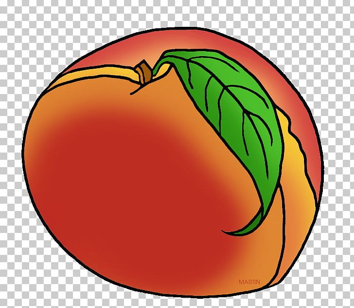 Georgia Peach Fruit PNG, Clipart, Artwork, Blog, Circle, Clip Art, Computer Icons Free PNG Download