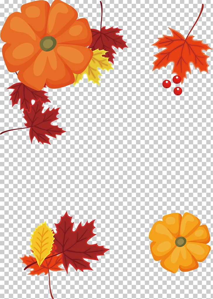 Pumpkin Pie Calabaza PNG, Clipart, Box Vector, Calabaza, Christmas Decoration, Computer Icons, Euclidean Vector Free PNG Download