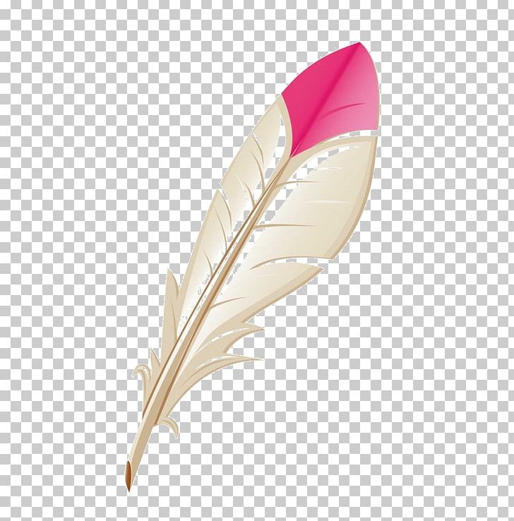 Quill Pens Graphics Cartoon PNG, Clipart, Art, Cartoon, Drawing, Feather, Ink Free PNG Download