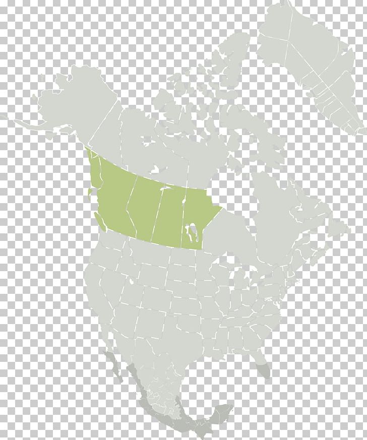 United States Blank Map Mexico Kropf Industrial Inc. PNG, Clipart, Blank Map, Canada, Ecozones Of Canada, Knowledge, Legal Drinking Age Free PNG Download