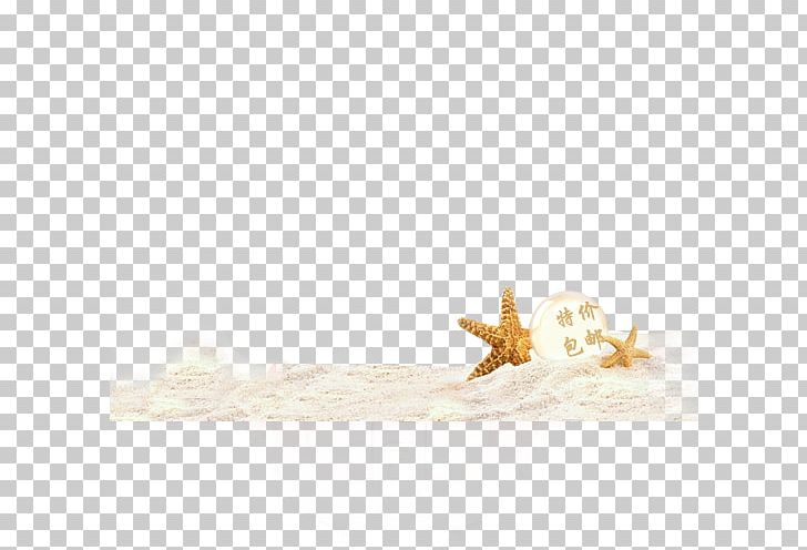 Yellow Animal Pattern PNG, Clipart, Animal, Beach, Christmas Star, Creative, Free Free PNG Download