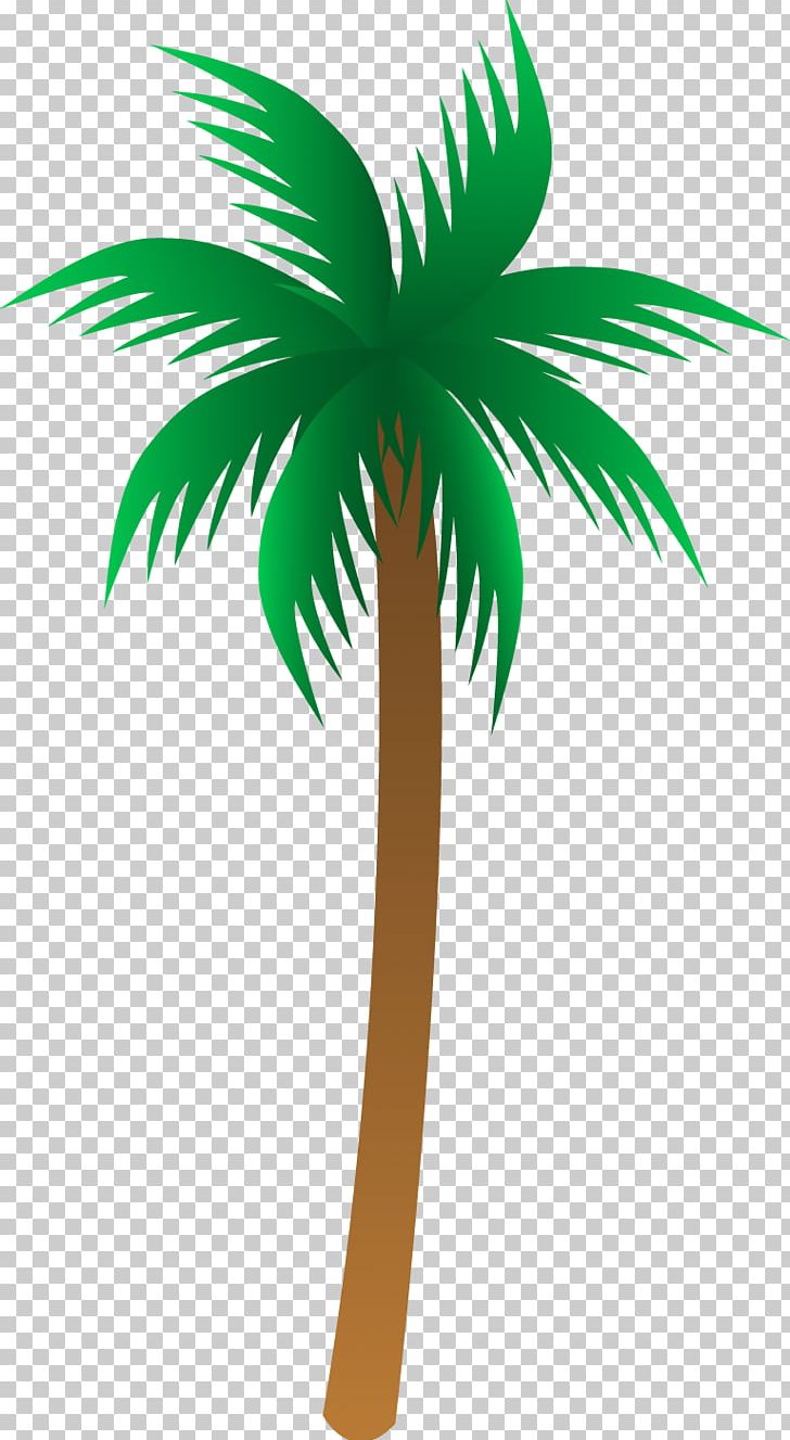 Arecaceae PNG, Clipart, Arecaceae, Arecales, Computer Icons, Date Palms, Desktop Wallpaper Free PNG Download