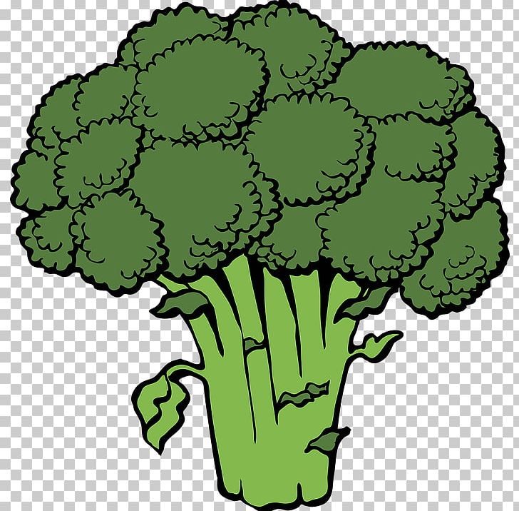 Broccoli Slaw Vegetable PNG, Clipart, Background Green, Broccoli, Broccoli Slaw, Cauliflower, Drawing Free PNG Download