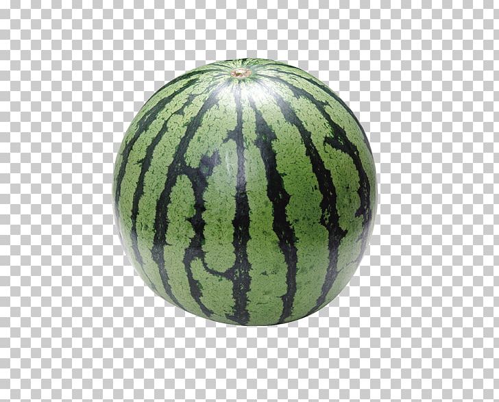 Cantaloupe Citrullus Lanatus Fruit Watermelon PNG, Clipart, Cartoon Watermelon, Citrullus, Cucumber, Eating, Food Free PNG Download