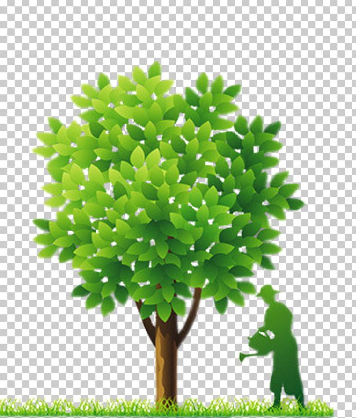 Fort Worth Euclidean PNG, Clipart, Arbor Day, Branch, Elements, Encapsulated Postscript, Festive Elements Free PNG Download