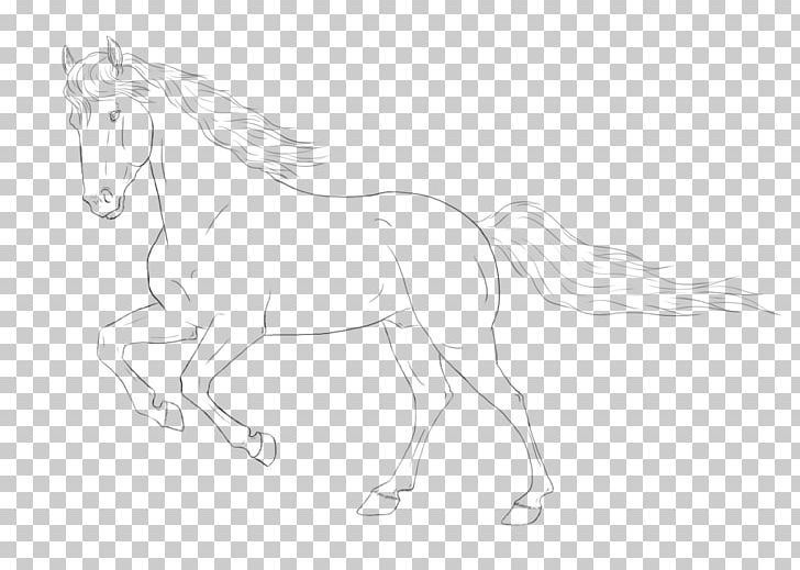 Line Art Horse Halter Pony Sketch PNG, Clipart, Animal Figure, Animals, Artwork, Black And White, Bridle Free PNG Download