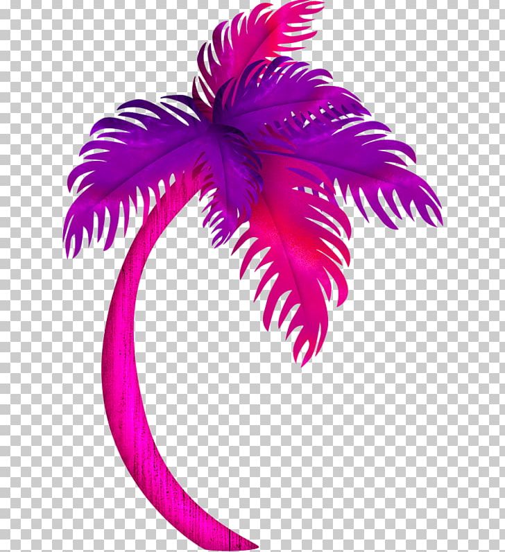 Tree Coconut PNG, Clipart, Christmas Tree, Coconut Tree, Euclidean Vector, Family Tree, Feather Free PNG Download