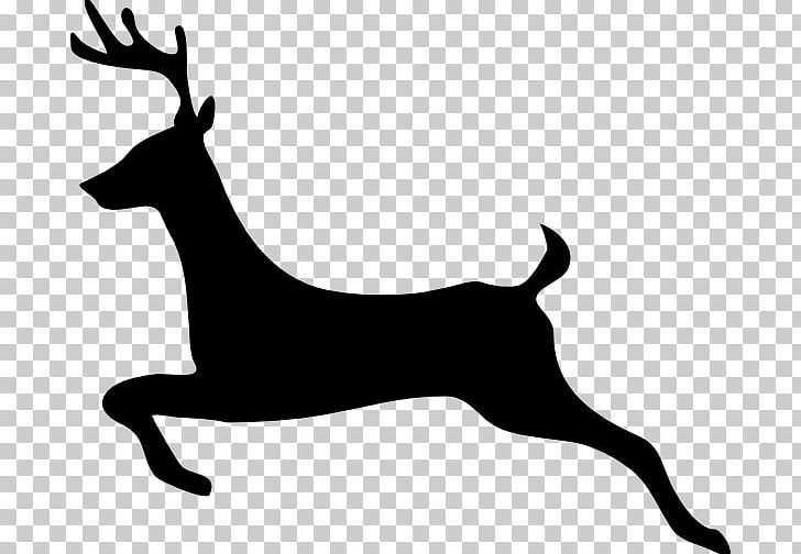 White-tailed Deer Reindeer PNG, Clipart, Animals, Antler, Black, Black And White, Deer Free PNG Download