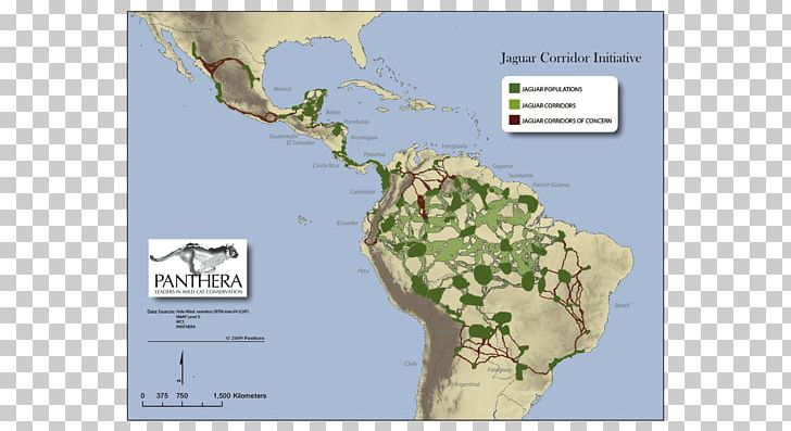 Jaguar Map Central America Landscape Mexico PNG, Clipart, Americas, Animals, Central America, Conservation, Ecoregion Free PNG Download