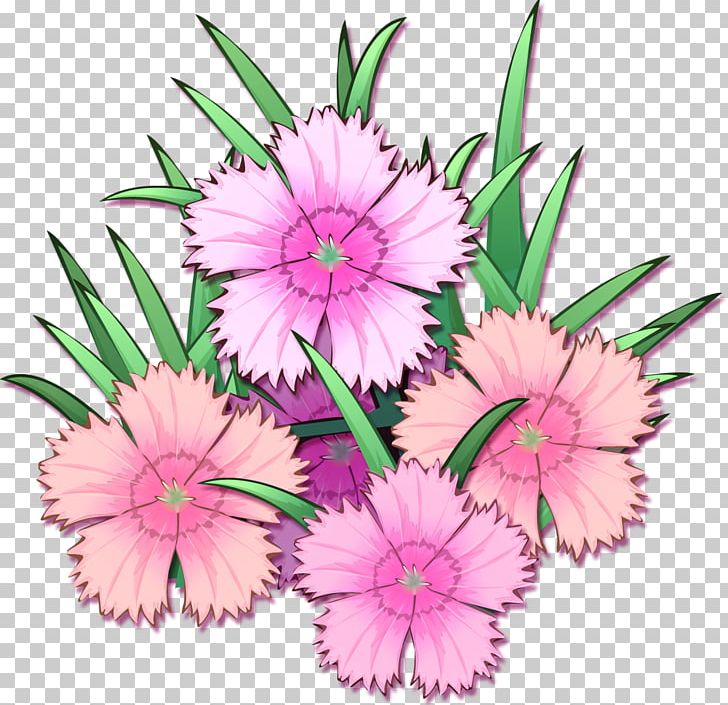Flower Photography PNG, Clipart, Annual Plant, Aster, Carnation, Color, Cut Flowers Free PNG Download