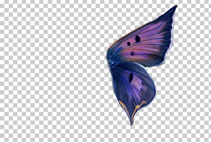 Ulysses Butterfly Wing Paper PNG, Clipart, Art, Butterfly, Deviantart, Drawing, Emine Kaya Free PNG Download