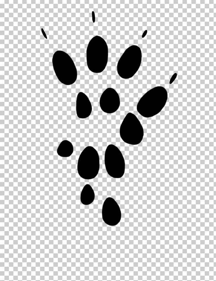 Computer Mouse Paw Footprint Cat PNG, Clipart, Animal Track, Black, Black And White, Black Rat, Cat Free PNG Download