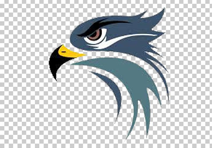 Logo Hawk Graphics Graphic Design PNG, Clipart, Bald Eagle, Beak, Bird, Bird Of Prey, Eagle Free PNG Download