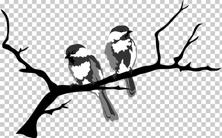 Beak Bird Of Prey Flora Fauna PNG, Clipart, Animals, Art, Beak, Bird, Bird Of Prey Free PNG Download