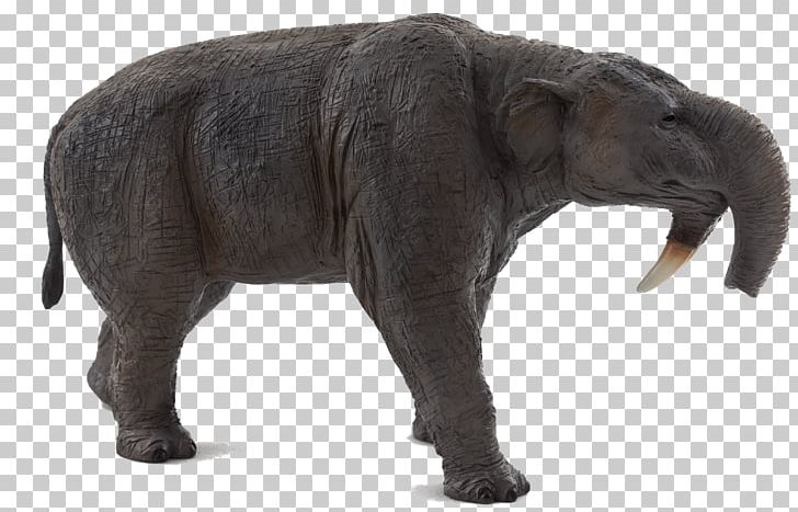 Deinotherium Prehistory Amazon.com Dinosaur Megacerops PNG, Clipart, Adrienne Mayor, African Elephant, Amazoncom, Animal Figure, Deinotherium Free PNG Download