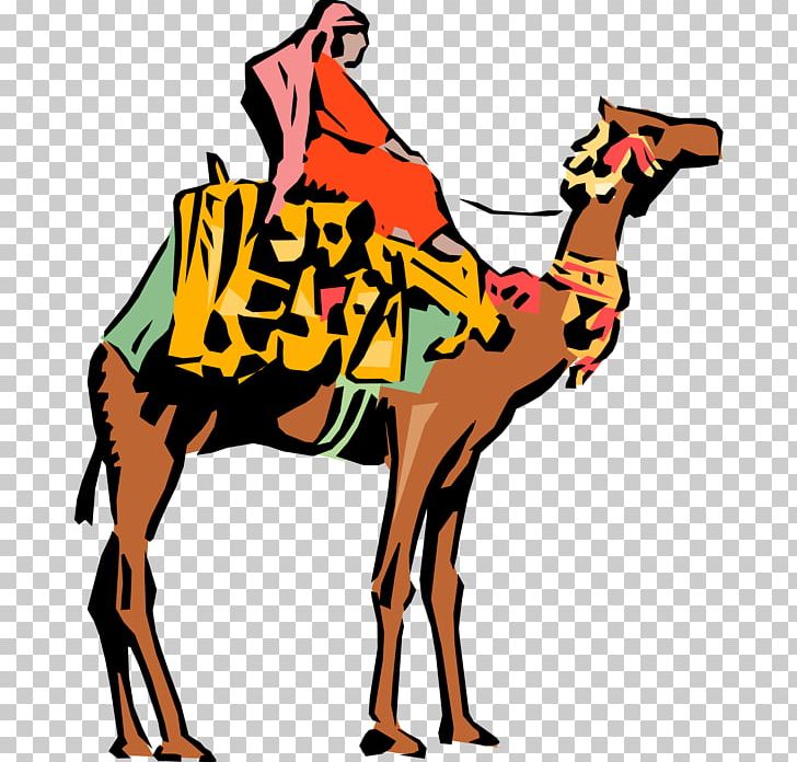 Dromedary Bactrian Camel PNG, Clipart, Animation, Arabian Camel, Artwork, Bactrian Camel, Camel Free PNG Download