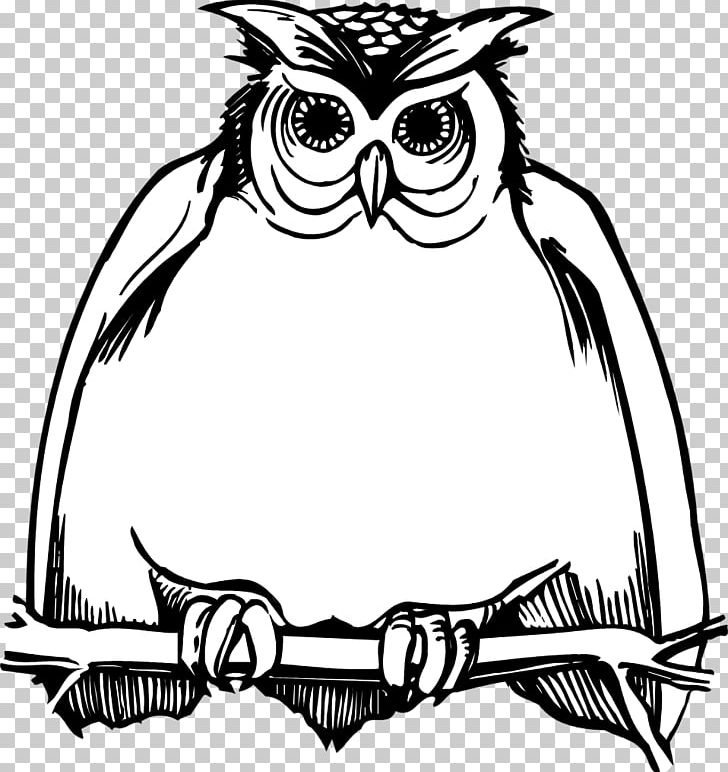 Great Horned Owl Drawing Hogwarts PNG, Clipart, Animals, Art, Artwork, Barn Owl, Beak Free PNG Download