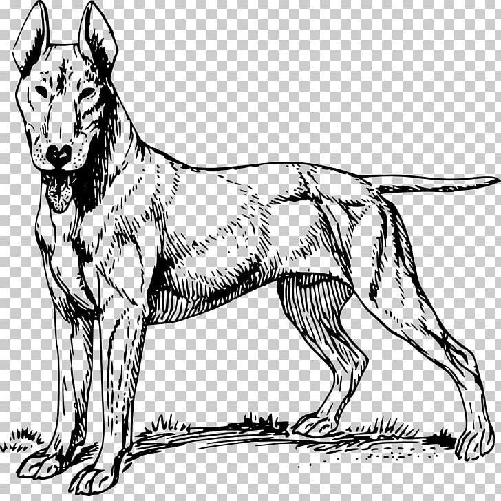 American Pit Bull Terrier American Pit Bull Terrier Staffordshire Bull Terrier Airedale Terrier PNG, Clipart, Airedale Terrier, American Pit Bull Terrier, Animals, Art, Black And White Free PNG Download