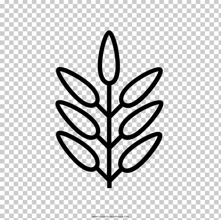 Coloring Book Leaf Drawing Mandala PNG, Clipart, Ausmalbild, Black And White, Book, Branch, Character Free PNG Download