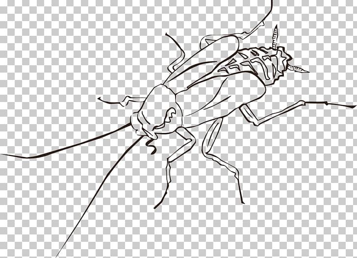 Cockroach Insect Wing Pest PNG, Clipart, Angle, Animals, Arthropod, Artwork, Black And White Free PNG Download