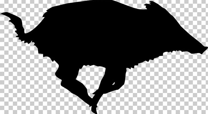 Domestic Pig Feral Pig PNG, Clipart, Black, Black And White, Boar, Carnivoran, Computer Icons Free PNG Download