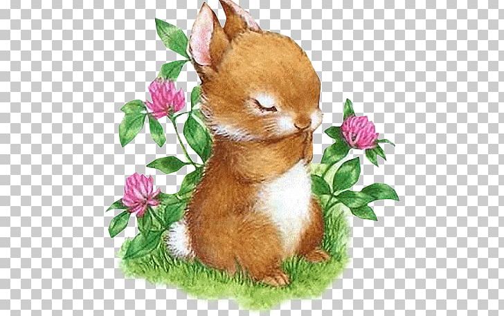 Easter Bunny European Rabbit Hare Becky Bunny PNG, Clipart, Animal, Animals, Blingee, Cat, Cat Like Mammal Free PNG Download