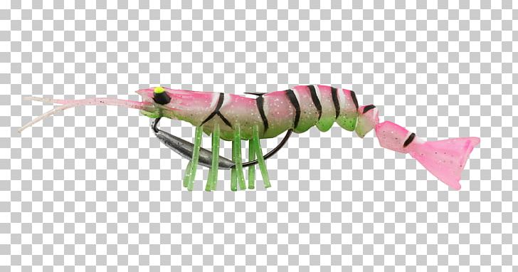 Fishing Baits & Lures Shrimp Insect Pest PNG, Clipart, Animal, Animal Figure, Animals, Biting, Color Free PNG Download