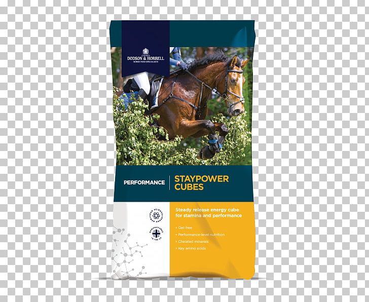 Horse Equine Nutrition Pony Fodder Show Jumping PNG, Clipart, Advertising, Alfalfa, Brand, Brochure, Cereal Free PNG Download