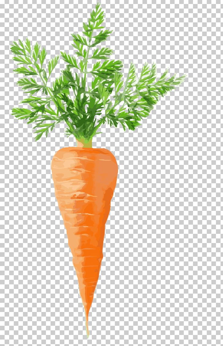 Juice Carrot Cake Stock Photography Vegetable PNG, Clipart, Arracacia Xanthorrhiza, Baby Carrot, Carrot, Carrot Cake, Carrot Juice Free PNG Download